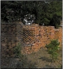 20100215050746_zid 2.jpg
