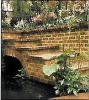 20100215051125_poza trepte.jpg